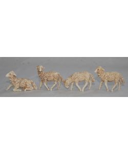 Busta pecore 12 pezzi