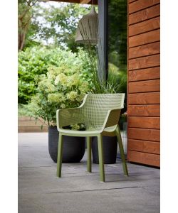 Sedia Elisa set da 6