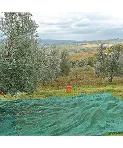 OLIVARI Rete per Olive - Verde - 8x8m
