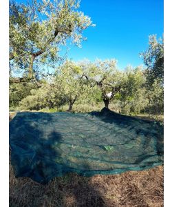 OLIVARI Rete per Olive - Verde - 8x8m