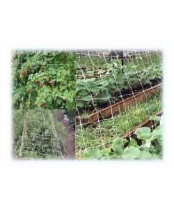 Rete Sostengreen H170 Rt. Ml1000