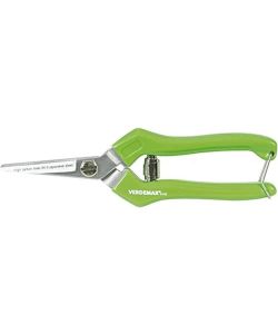 Verdemax Forbice Vendemmia 19 cm Verde - Lama in Acciaio di Qualit�
