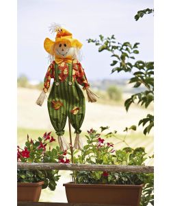 Spaventapasseri figure assortite