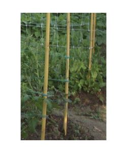 Verdemax Paletto Bambù 150 cm diam. 22/24 mm Colore Naturale Resistente