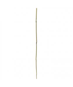 Verdemax Tutori in Bamb� 76 cm Diametro 8-10 mm Confezione 10 Pz