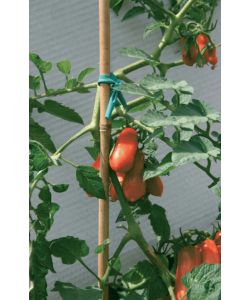 Verdemax Tutori in Bambù 76 cm Diametro 8-10 mm Confezione 10 Pz