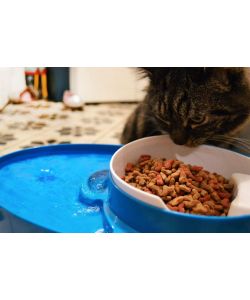 Bimar Ciotola con Fontana per Cani e Gatti - Cibo 0,8L e Acqua 3L