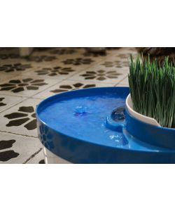 Bimar Ciotola con Fontana per Cani e Gatti - Cibo 0,8L e Acqua 3L