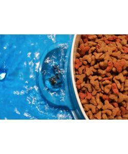 Bimar Ciotola con Fontana per Cani e Gatti - Cibo 0,8L e Acqua 3L