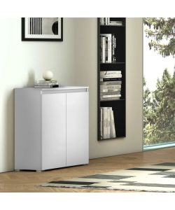 Terraneo Mobile Multiuso Bianco 2 Ante - 3 Ripiani Regolabili - 80x37x102 cm