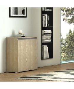 Terraneo Mobile Multiuso Olmo - 2 Ante - 3 Ripiani Regolabili - 80x37x102 cm
