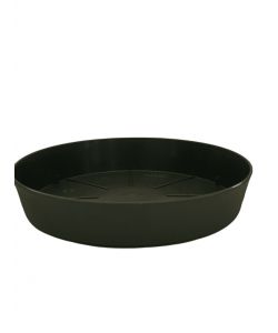 Vasar Piattino Rotondo Verde Scuro diam, 19 cm in Plastica Riciclabile