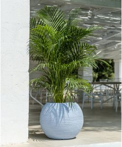 Vaso Sfera Bali 55x43 cm Colore Avio - Vaso Decorativo Effetto Corda