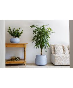 Ciotola Bali 51x25 cm Colore Polvere - Vaso Decorativo Effetto Corda