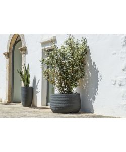 Set 2 Portauova Originali A Forma Di Vaso Di Fiori Con Palette, In Ceramica, Regalo Divertente Per Giardinieri E Amanti Della Colazione