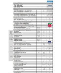 Climatizzatore Aryal 10000 BTU