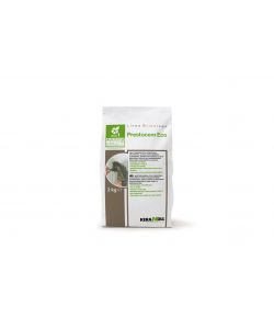 Kerakoll Malta Eco Prestocem 2kg - Fissaggio ad Alta Resistenza - Tixotropica