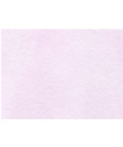 Pittura Effetto Perla Cipria 1,5 l