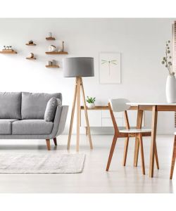 Pittura murale traspirante Max Meyer T2020 14 L - Alta copertura e igienizzante