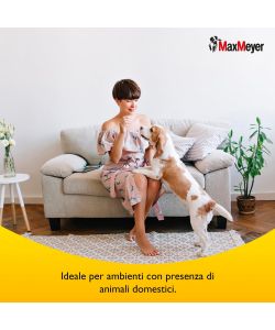MaxMeyer Pittura Murale Amica degli Animali - Bianco - 4L