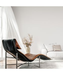 MaxMeyer Pittura Igienizzante T2020 BMB 0,75L Bianco Opaco per Interni