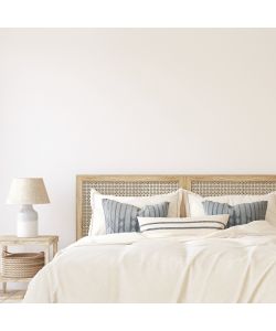 MaxMeyer Pittura Bianca Monomano 4L Opaca 2 in 1 per Interni