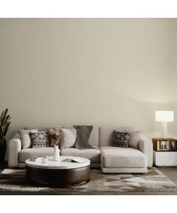 MaxMeyer Idropittura Champagne Superlavabile 0,75L Home Color Finitura Opaca