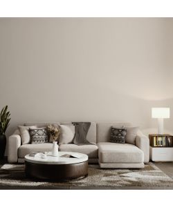 MaxMeyer Pittura Superlavabile Luna 2,5L - Idropittura Opaca Interni