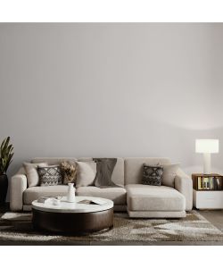 MaxMeyer Idropittura Igienizzante 2,5L Silver Finitura Opaca Interni