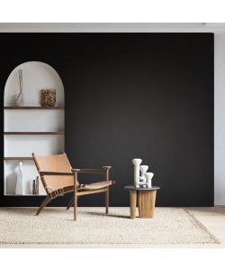 MaxMeyer Idropittura Igienizzante Nero 2,5L Finitura Opaca Alta Copertura