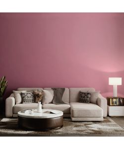 MaxMeyer Idropittura Superlavabile 2,5L Colore Macaron Finitura Opaca
