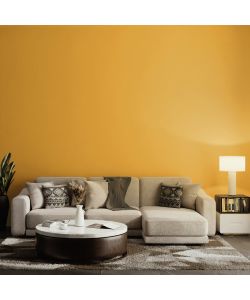 MaxMeyer Idropittura Igienizzante Interni Curcuma 2,5L Superlavabile