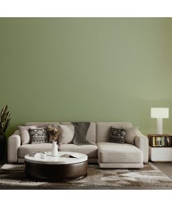 MaxMeyer Idropittura Superlavabile Oliva 2,5L Finitura Opaca Interni