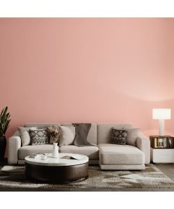 MaxMeyer Idropittura Igienizzante Pink Pop 2,5L Finitura Opaca