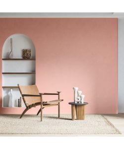 MaxMeyer Idropittura Igienizzante Pink Pop 2,5L Finitura Opaca