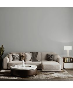 MaxMeyer Idropittura Superlavabile Igienizzante Argento 2,5 Litri - Finitura Opaca