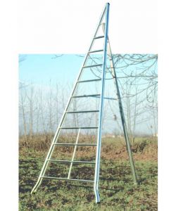 Facal Scala per Agricoltura in Alluminio - 3,0 Metri