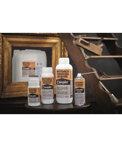 Complet Antitarlo Spray 400ml inodore fungicida per legno