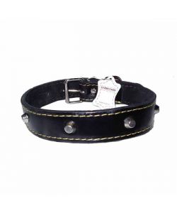 Collare Cani Cuoio Borchie Mm 25 Cm 51