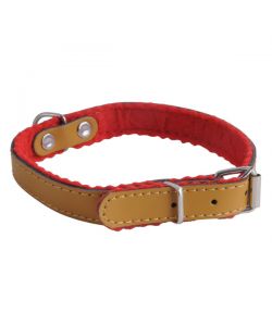 Collare Cani Cuoio Fod. Mm 12 Cm 33  Ilcampo 07659