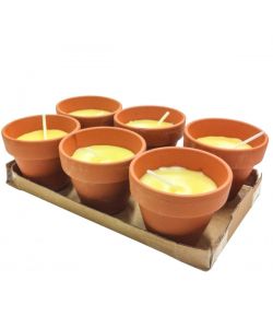 Candela Citronella Vaso   Mm 60 Pz.6 Lapillo 09295