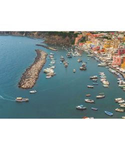 Navionics Platinum+ 5P271Xl Cf