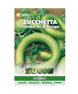 Sementi Zucchetta Tromba D'Albenga           Leben