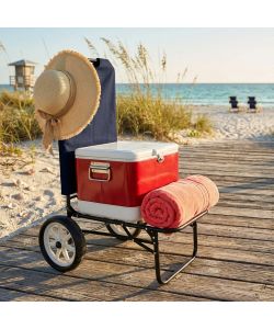 Carrello Pieghevole Sirio - Grigio - 45x50x103 cm