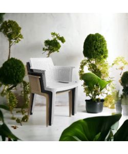 Cosma Poltrona da Giardino Cathy Grigia in Polipropilene Impilabile 60x58x76.5cm
