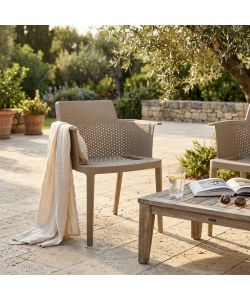 Cosma Poltrona Cathy Tortora Impilabile in Polipropilene 60x58x76.5 cm