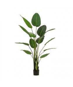 BIZZOTTO HOMEMOTION Pianta artificiale Strelitzia 150 cm vaso nero