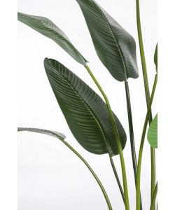 BIZZOTTO HOMEMOTION Pianta artificiale Strelitzia 150 cm vaso nero