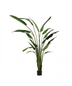 BIZZOTTO HOMEMOTION Pianta artificiale Strelitzia 150 cm vaso nero