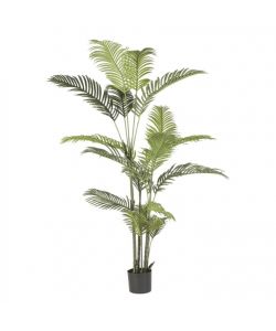Bizzotto Pianta Artificiale Kenzia 180 cm con Vaso Nero per Interni ed Esterni